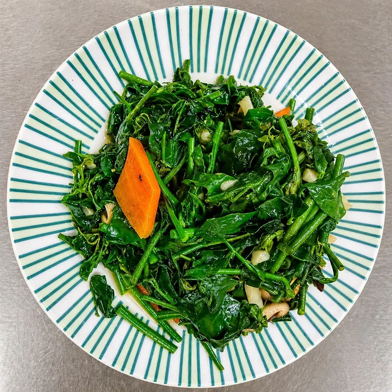 高山甜菜