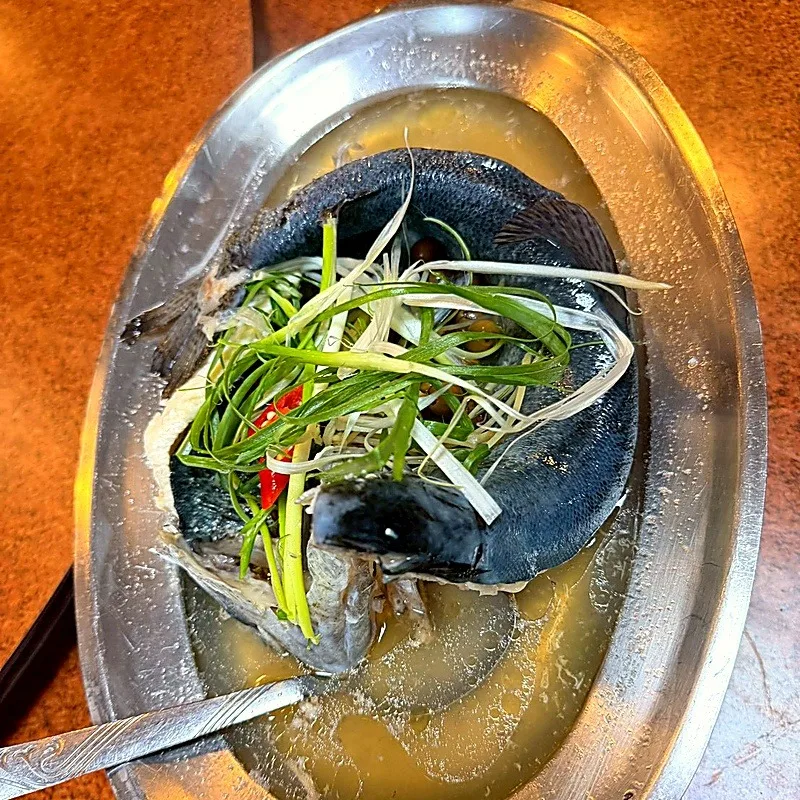清蒸鱒魚